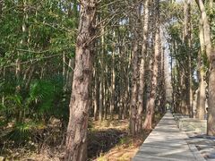 -同里国家湿地公园