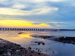 -宝安西湾红树林湿地公园