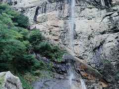 -青峰峡国家森林公园