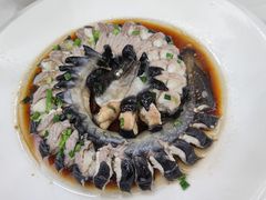 -丁老爷子苏香圆