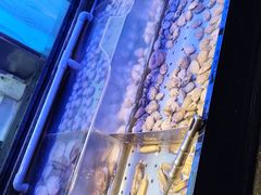 -盛江山自助料理(奥莱锦辉购物广场店)