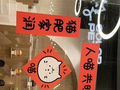 -COLOR PETS 撸猫馆·购猫·猫咖(长风大悦城店)