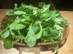 -老凯俚酸汤鱼(多彩城店)