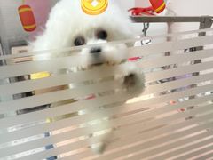 -丹东丛炟海鲜烧烤(江艺路店)