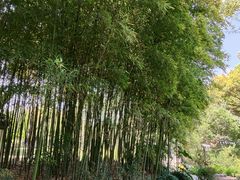 -汇龙潭