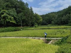 -韶山毛泽东同志故居