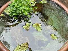 -肴约·花园式餐厅(湖里店)