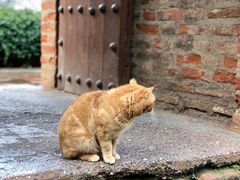 -阿尔罕布拉宫