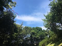 -广州市白云山风景名胜区