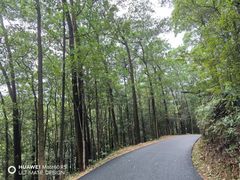 -广州市白云山风景名胜区