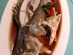 清蒸桂鱼-百富源·海鲜辽菜(浑河堡店)