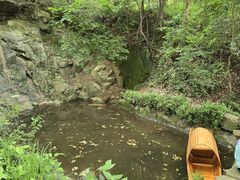 -上海佘山国家森林公园天马山园