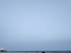 -碧海金沙