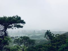 -鼎湖山风景区