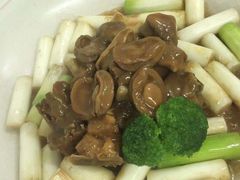-常州环球恐龙城维景国际大酒店