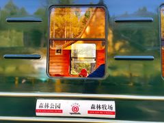-莫尔道嘎国家森林公园