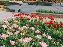 -长春公园(普阳街道)