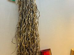 -广东中医药博物馆