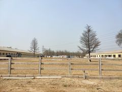 -北京群众马术培训基地