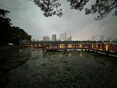 -南宁南湖公园