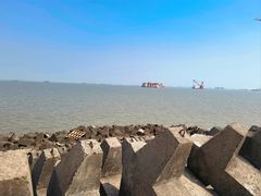 -上海滨江森林公园