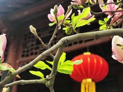 -保定直隶总督署博物馆