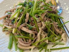 芫爆肚丝-同和居(月坛店)