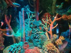 -沈阳海洋探索中心