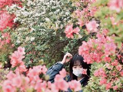 -木兰云雾山