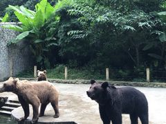 -贵州森林野生动物园