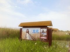 -宁波杭州湾国家湿地公园