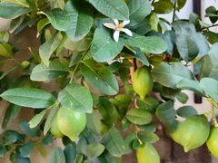 -青岛遇见米兰(八大关店)