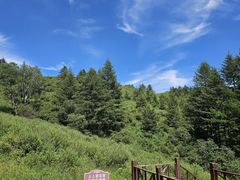 -驼梁风景区