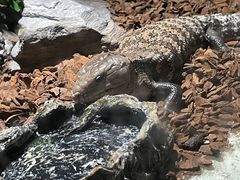 -顺德南宏海立方海洋公园