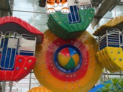 -南宫五洲植物乐园