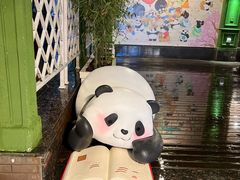 -轩客会(熊猫书店)