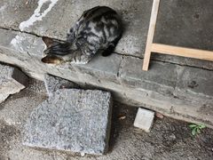 -扬美古镇景区