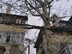 -长颈鹿咖啡(大学路店)