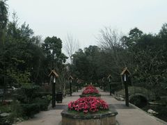 -天赐温泉