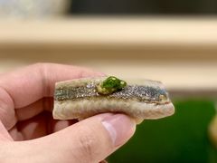 -鮨一日本料理(大中华店)
