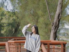 -宝安西湾红树林湿地公园