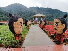 -广州市石门国家森林公园