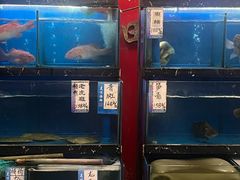 -渔意楼·驰名沙田乳鸽(五羊旗舰店)