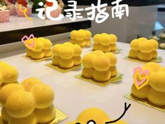 -石家庄万象天成假日酒店