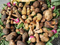 -大理董·董家小厨野生菌火锅(古城旗舰店)