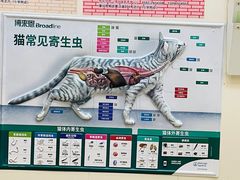 -瑞派康怡24h宠物医院·犬猫医疗中心·微创绝育(瑞景分院)