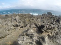 -龙坑生态保护区