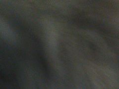 -熊记虾王·小龙虾(东晓南店)