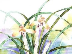 -八哥美术·成人美术画室(总校区)