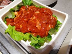 捞派麻辣滑羊肉-海底捞火锅(金光华店)